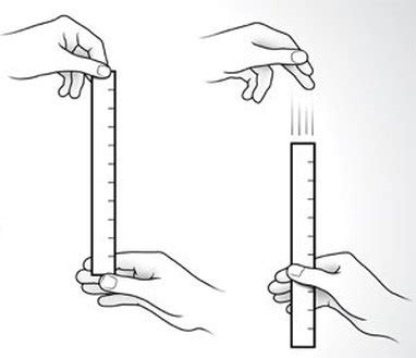 ruler drop test protocol|ruler drop test explained.